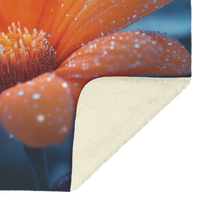 Glowing_Frosted_Marigold_Blooms_with_Sil_H_Blanket_Sherpa_Mockup.png