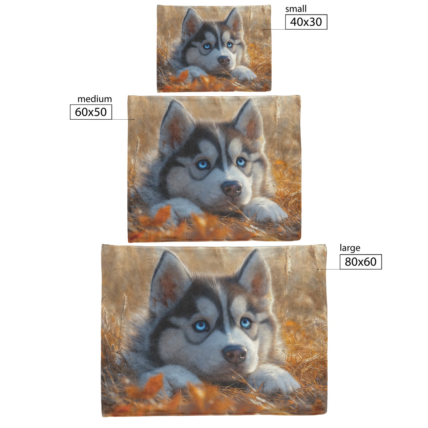 Husky with Blue Eyes Lying in Golden Autumn Grasses Cozy Fleece and Sherpa Blanket - Awakening Righteousness