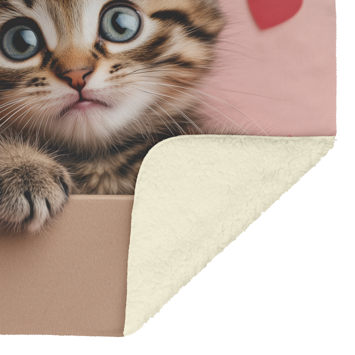 Kitten_Inside_Valentine_Gift_Box_Bow_on__H_Blanket_Sherpa_Mockup.png_15351052