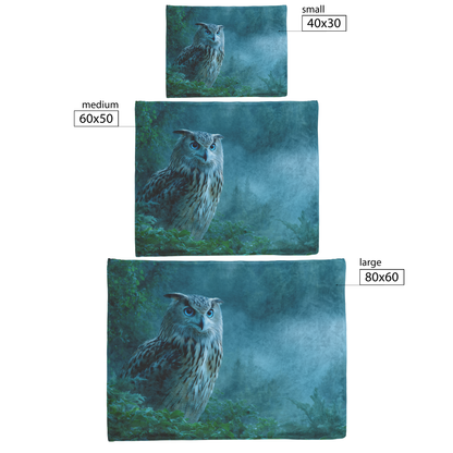 Moonlight_Owl_With_Blue_Eyes_And_Mystica_H_Blanket_Size_Options_Mockup.png