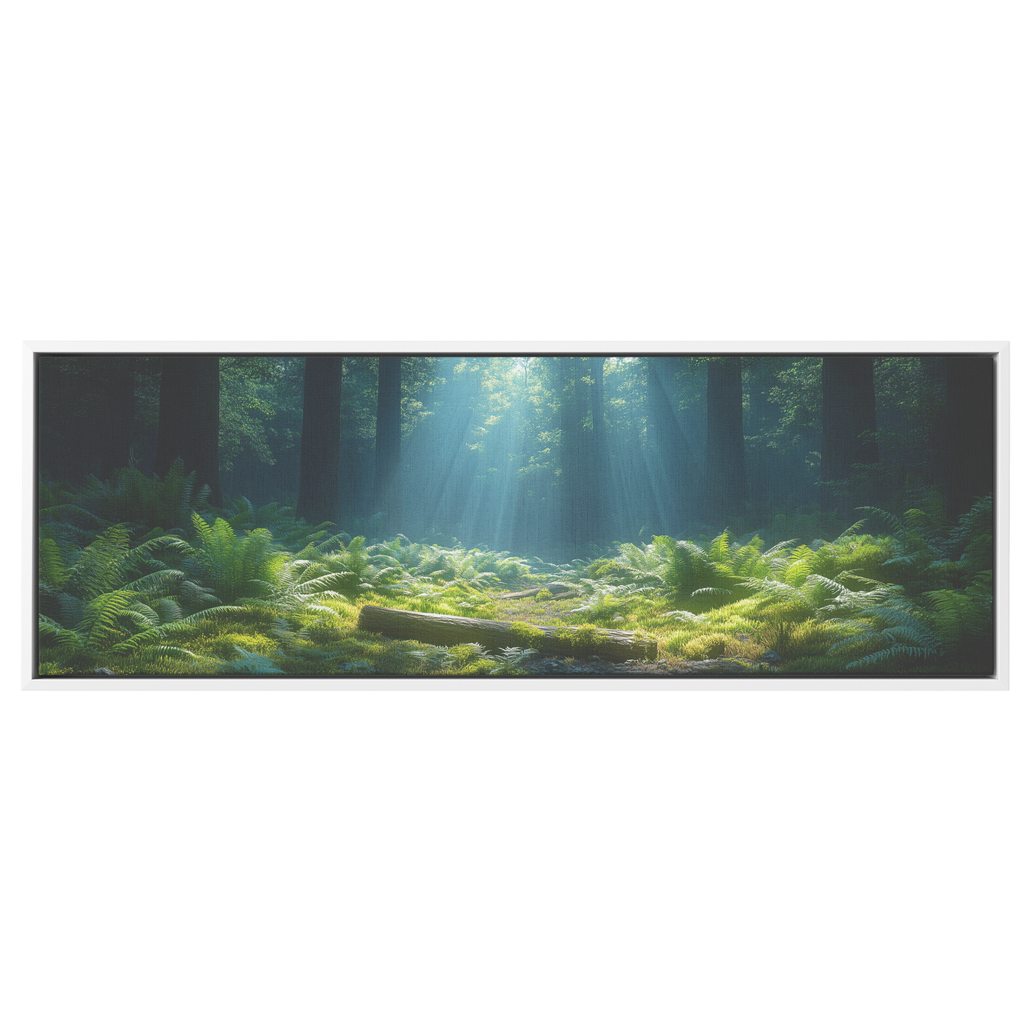 Mystical_Forest_Sunlight_Tall_Redwoods_F_White_Framed_Canvas_H_Panoramic_Main_Mockup.png