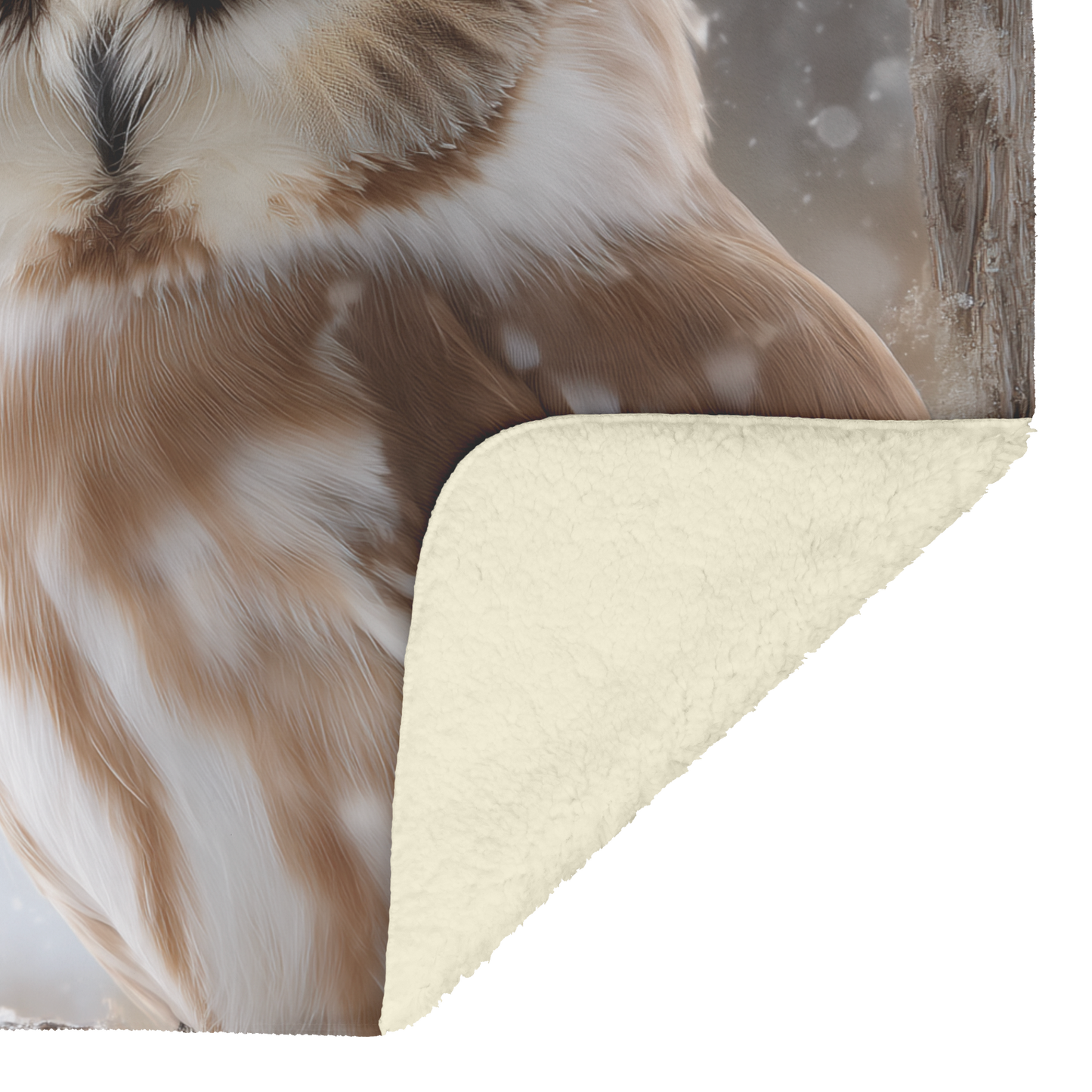 Owl_Perched_Inside_Wooden_Window_Frame_W_H_Blanket_Sherpa_Mockup.png