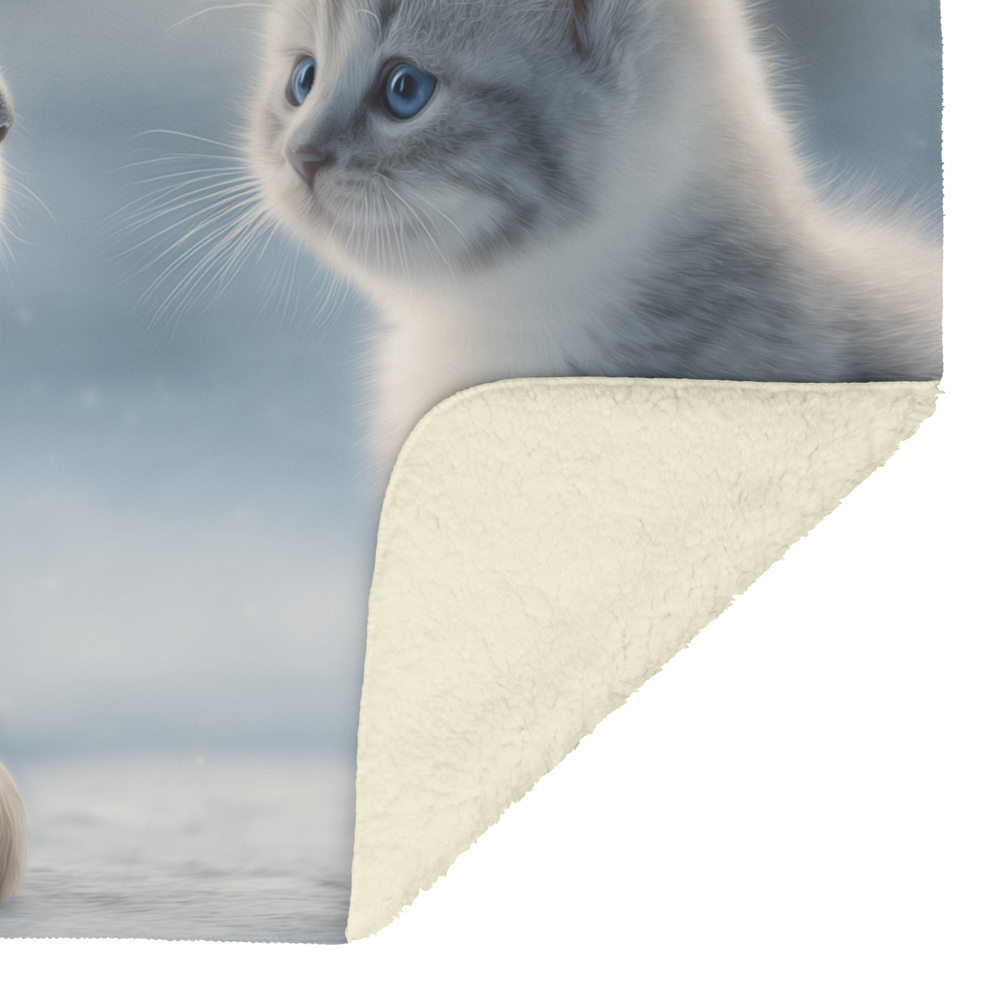 Puppy Giving Heart Shaped Chocolates to Kitten Sherpa Fleece Throw Blanket Cute Cozy Design Loving Valentines Day Gift