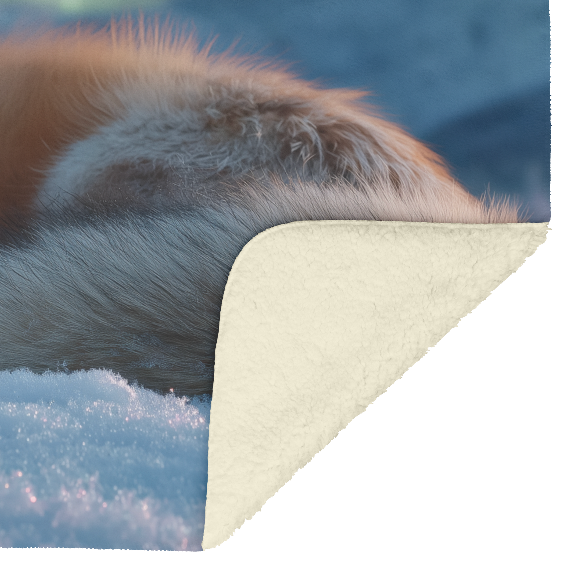 Sleeping_Fox_Curled_In_Snow_With_Gentle__H_Blanket_Sherpa_Mockup.png