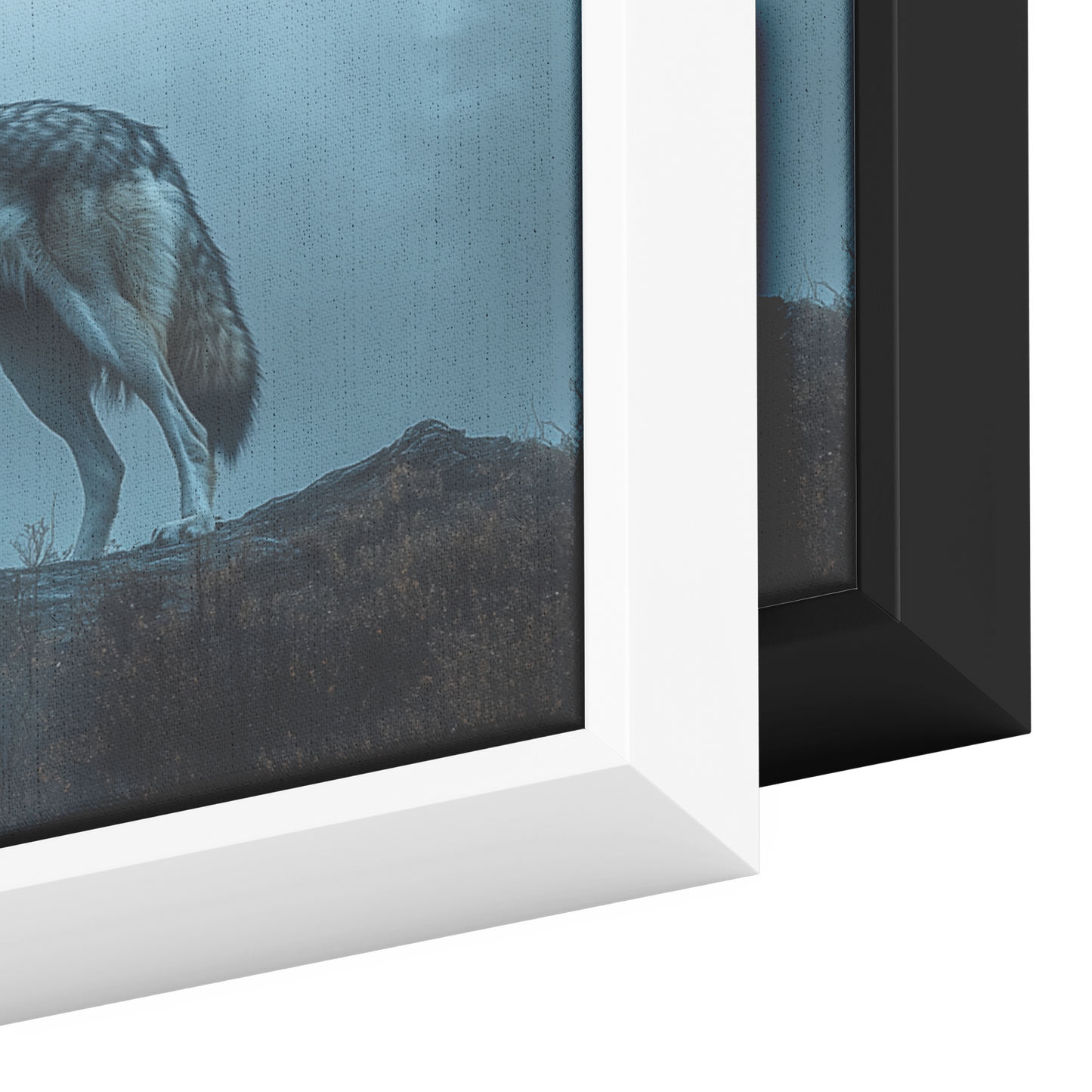 Stunning_Panoramic_Lone_Wolf_on_Mountain_Framed_Canvas_H_Panoramic_Color_Options_Mockup.png