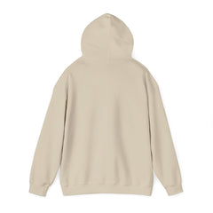 Awakening Aesthetics Gym Hoodie for Men & Women | Athletic Pullover with Kangaroo Pocket | 50/50 Cotton-Poly Blend | Comfortable, Stylish & Ethically Made | Unisex Classic Fit - Awakening Aesthetics