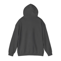 Awakening Aesthetics Gym Hoodie for Men & Women | Athletic Pullover with Kangaroo Pocket | 50/50 Cotton-Poly Blend | Comfortable, Stylish & Ethically Made | Unisex Classic Fit - Awakening Aesthetics