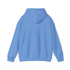 Awakening Aesthetics Hoodie - Awakening Aesthetics