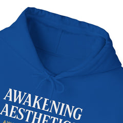 Awakening Aesthetics Hoodie - Awakening Aesthetics