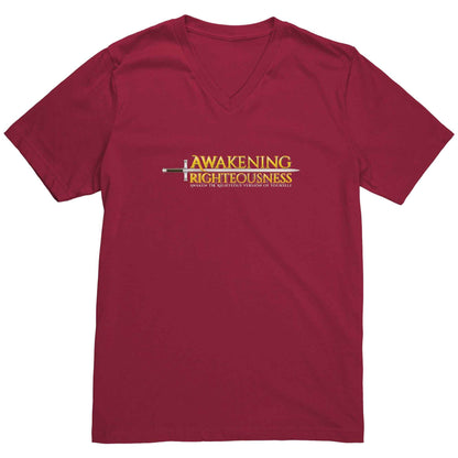 Canvas Men's V Neck T-Shirt