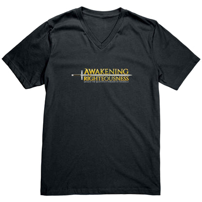 Canvas Men's V Neck T-Shirt