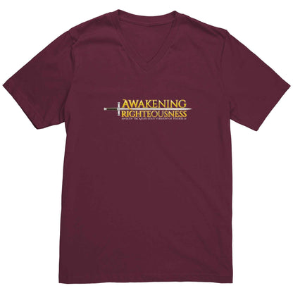 Canvas Men's V Neck T-Shirt