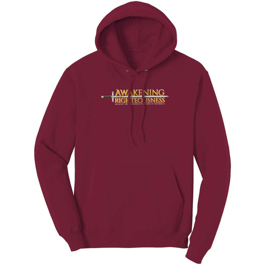 Awakening Righteousness Christian Hoodie For Men