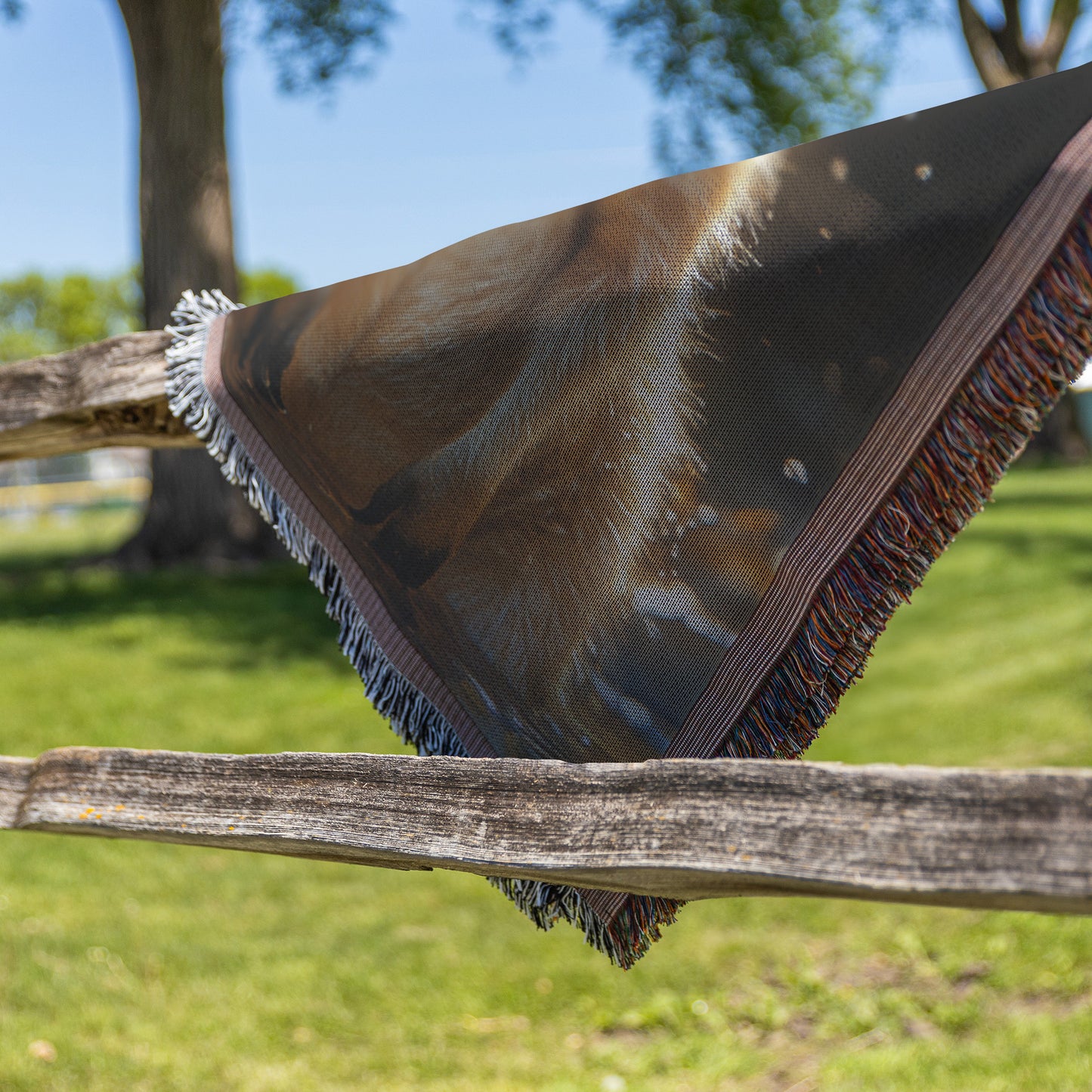 Adorable Kangaroo Woven Throw Blanket  Australian Outback Wildlife Decor Perfect for Nature & Animal Lovers Cozy Home Living Room or Office Accent - Awakening Righteousness