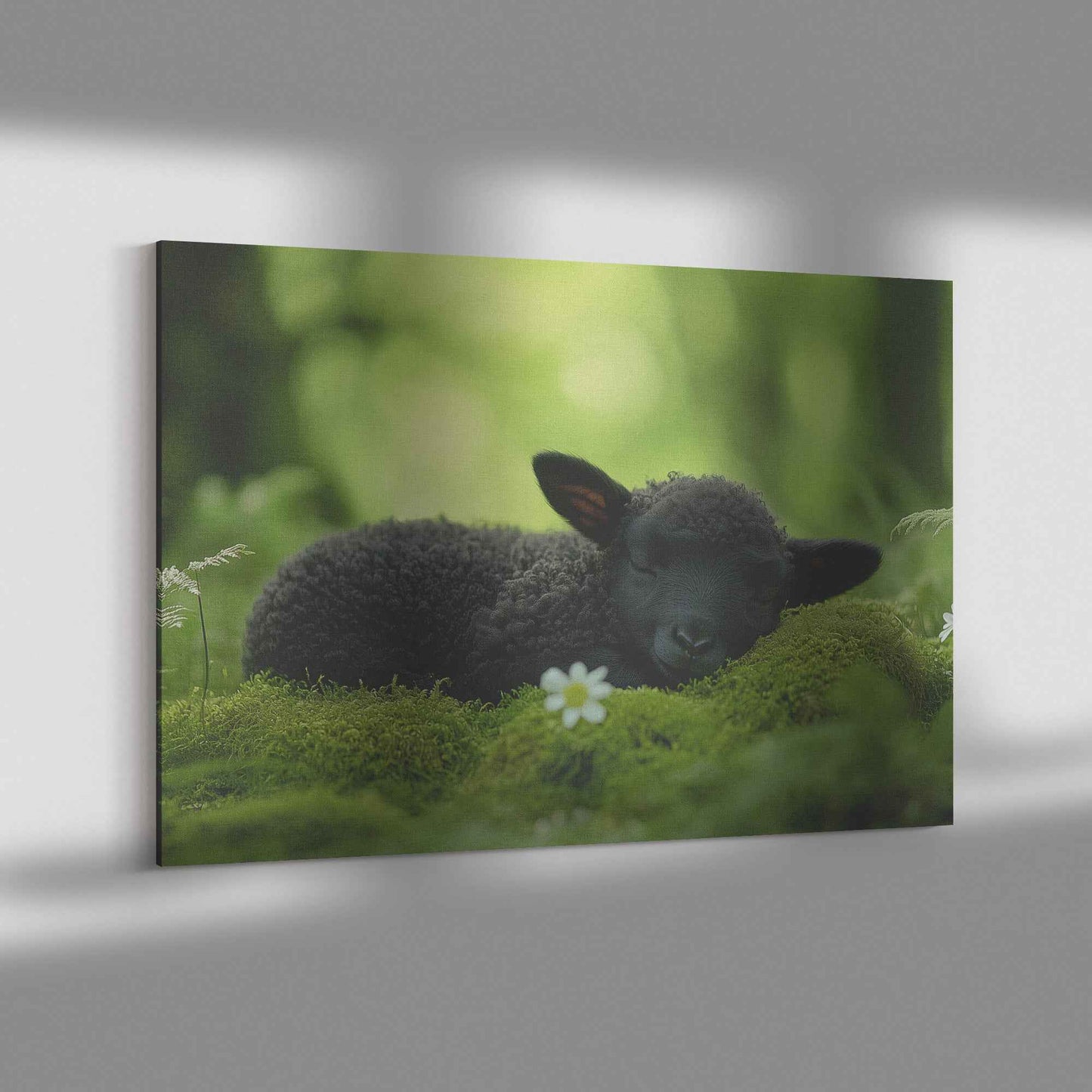 Tranquil Slumber Black Lamb Resting in Natures Embrace Christian Canvas Wall Art Decor
