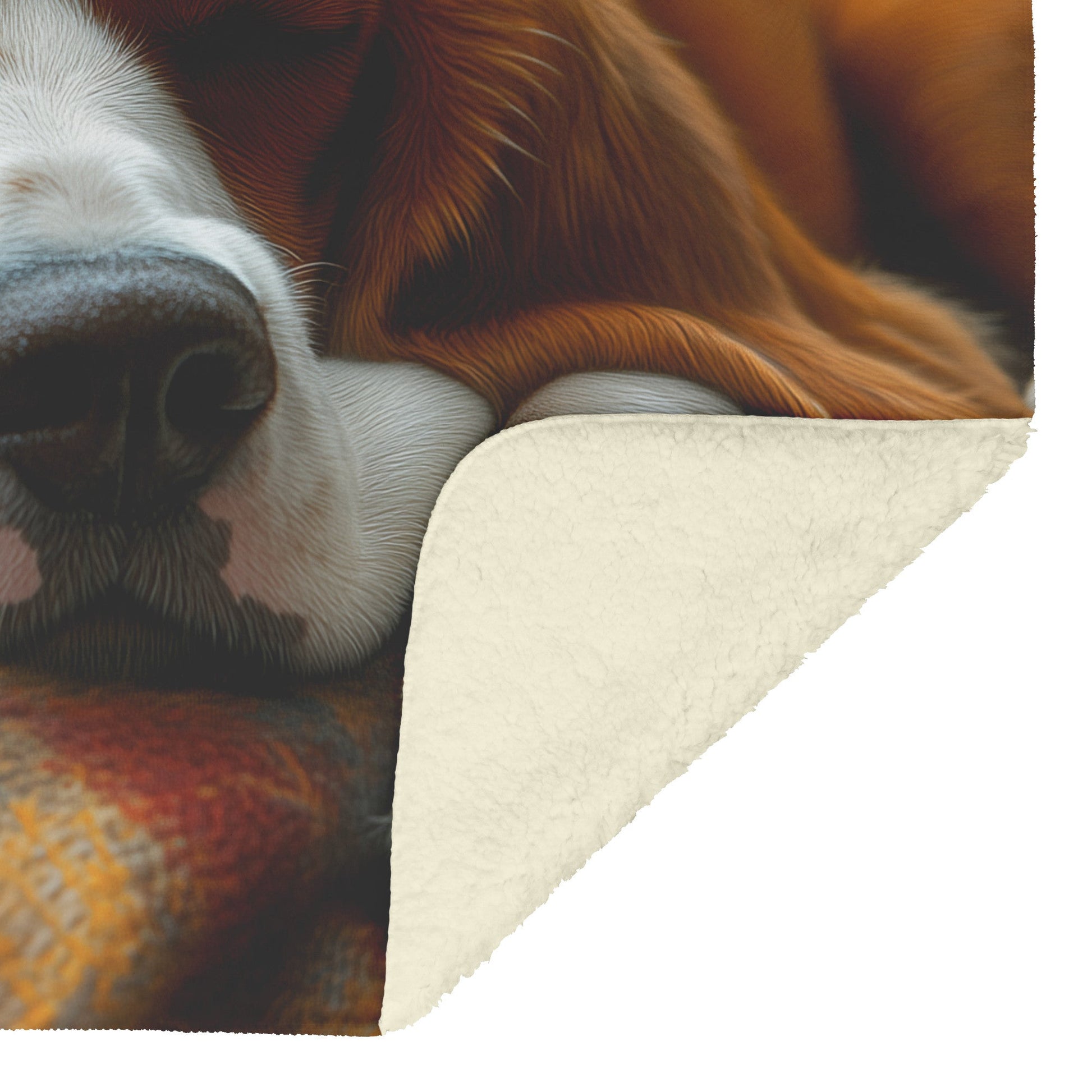 Basset Hound Resting on Colorful Plaid Blanket in Golden Autumn Forest Fleece Sherpa Blanket Cozy and Scenic - Awakening Righteousness