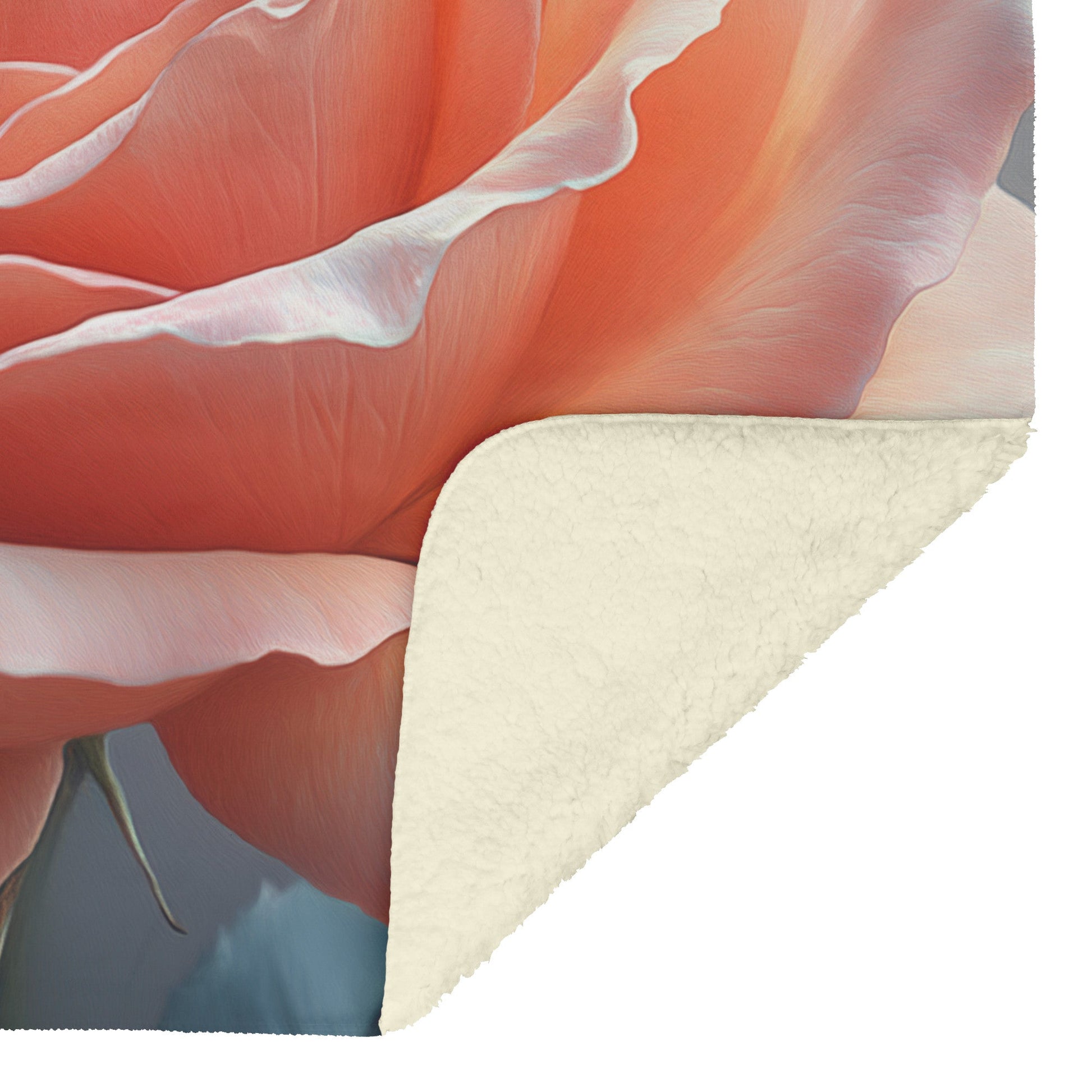 Blush Pink Rose Cozy Fleece Sherpa Blanket Showcasing Elegant Petals and Soft Radiance for Timeless Floral Beauty - Awakening Righteousness