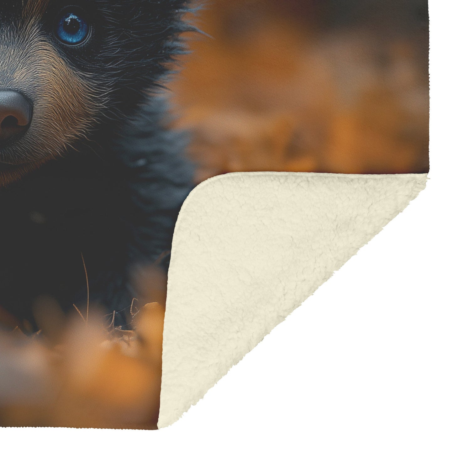 Cute Autumn Black Bear Cub with Blue Eyes Cozy  Fleece Sherpa Blanket - Awakening Righteousness