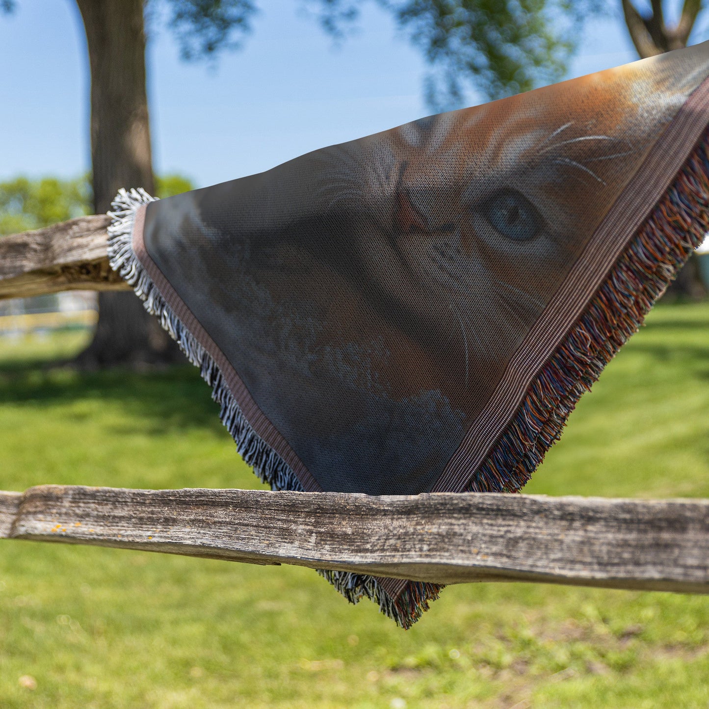 Cute Playful Orange Kittens in Forest Cozy Woven Throw Blanket - Awakening Righteousness