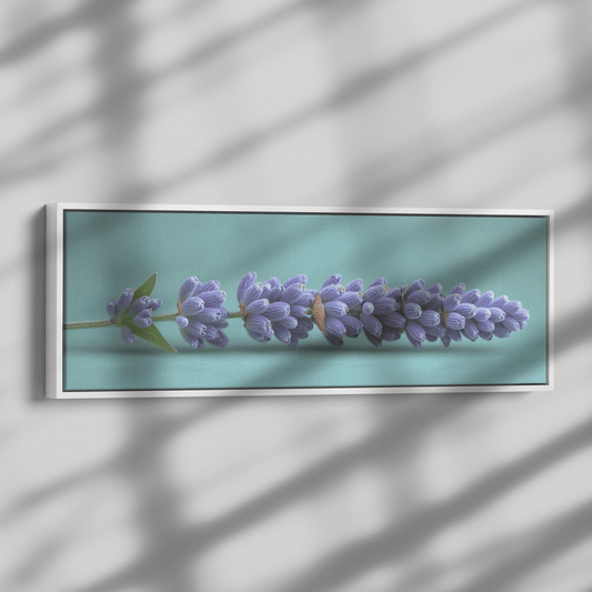 Minimalist Single Stem Floral Artwork Lavender Simple Linework Soft Green Background Elegant Minimalism Ultra High Definition Panoramic Framed Canvas Wall Art - Awakening Righteousness