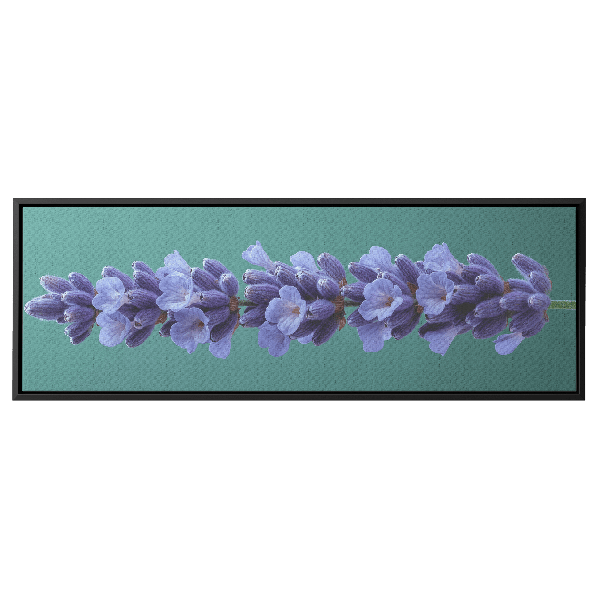 Minimalist Single Stem Floral Artwork Lavender Simple Linework Soft Green Background Elegant Minimalism Ultra High Definition Panoramic Framed Canvas Wall Art - Awakening Righteousness