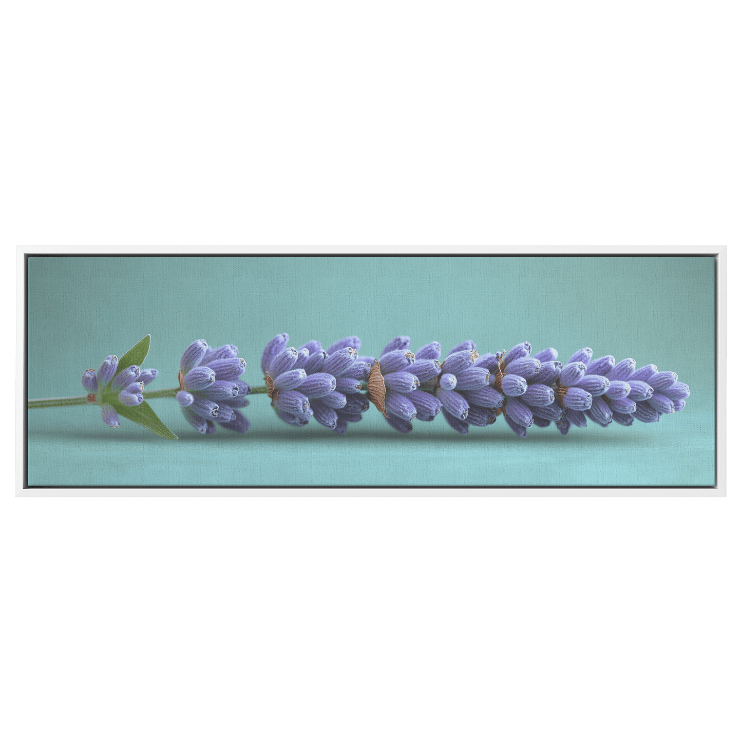 Minimalist Single Stem Floral Artwork Lavender Simple Linework Soft Green Background Elegant Minimalism Ultra High Definition Panoramic Framed Canvas Wall Art - Awakening Righteousness