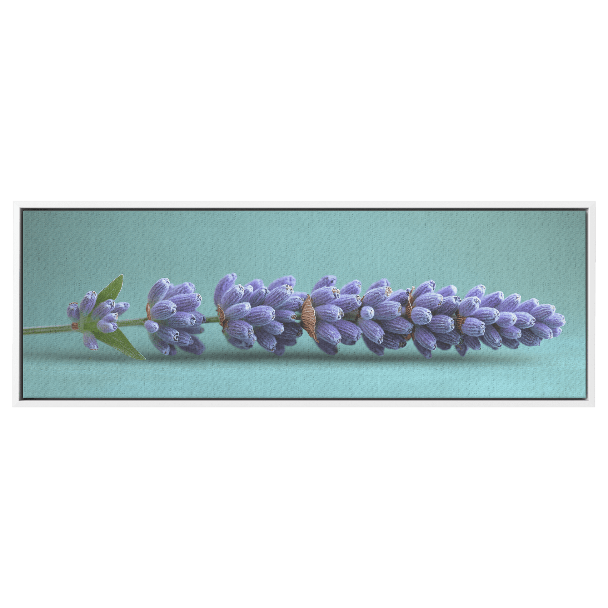 Minimalist Single Stem Floral Artwork Lavender Simple Linework Soft Green Background Elegant Minimalism Ultra High Definition Panoramic Framed Canvas Wall Art - Awakening Righteousness