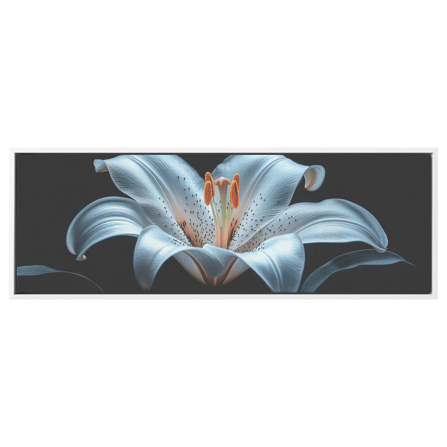Minimalist Single Stem Floral Artwork Lily Neutral Tones Solid Black Background Clean Elegant Ultra High Definition Panoramic Framed Canvas Wall Art - Awakening Righteousness
