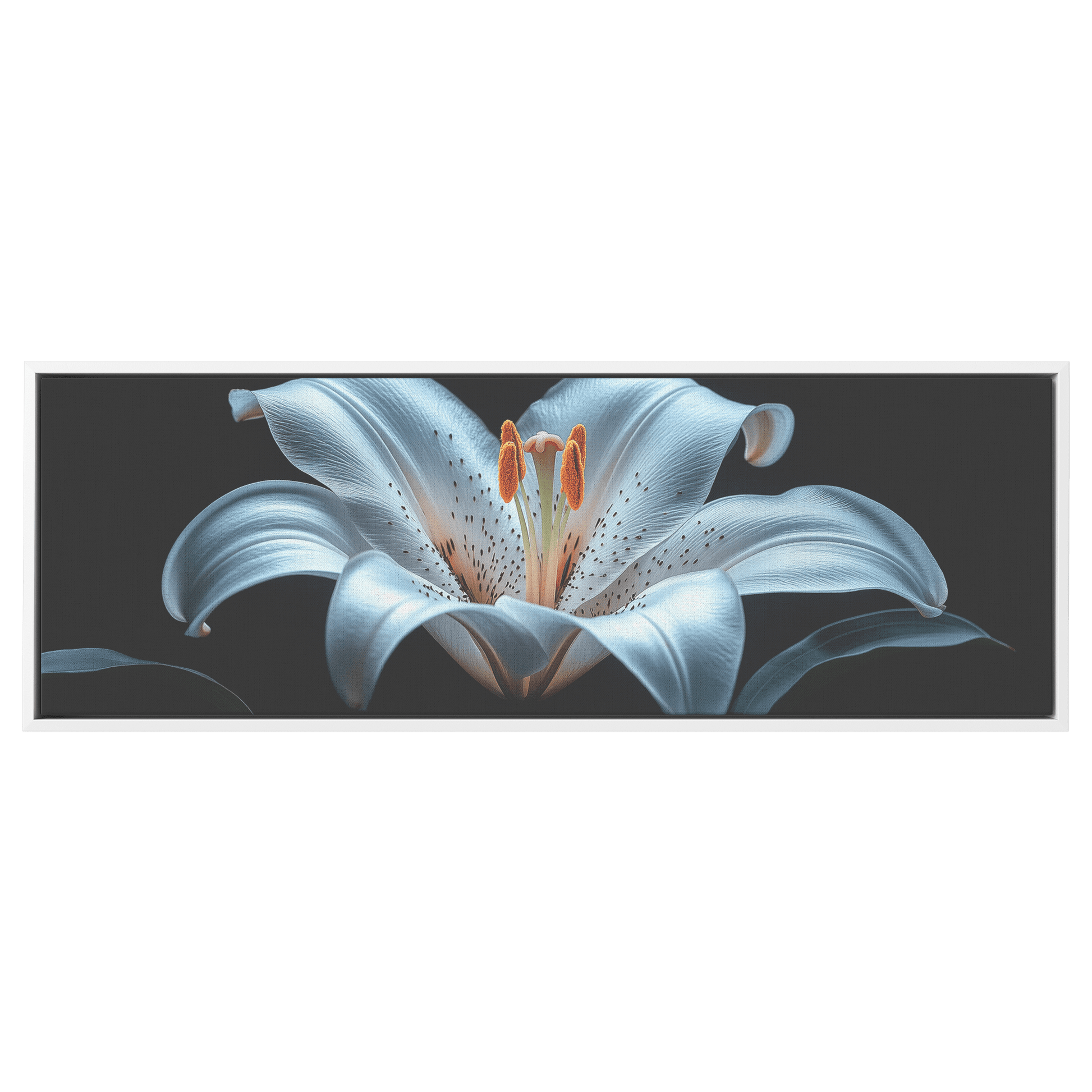 Minimalist Single Stem Floral Artwork Lily Neutral Tones Solid Black Background Clean Elegant Ultra High Definition Panoramic Framed Canvas Wall Art - Awakening Righteousness