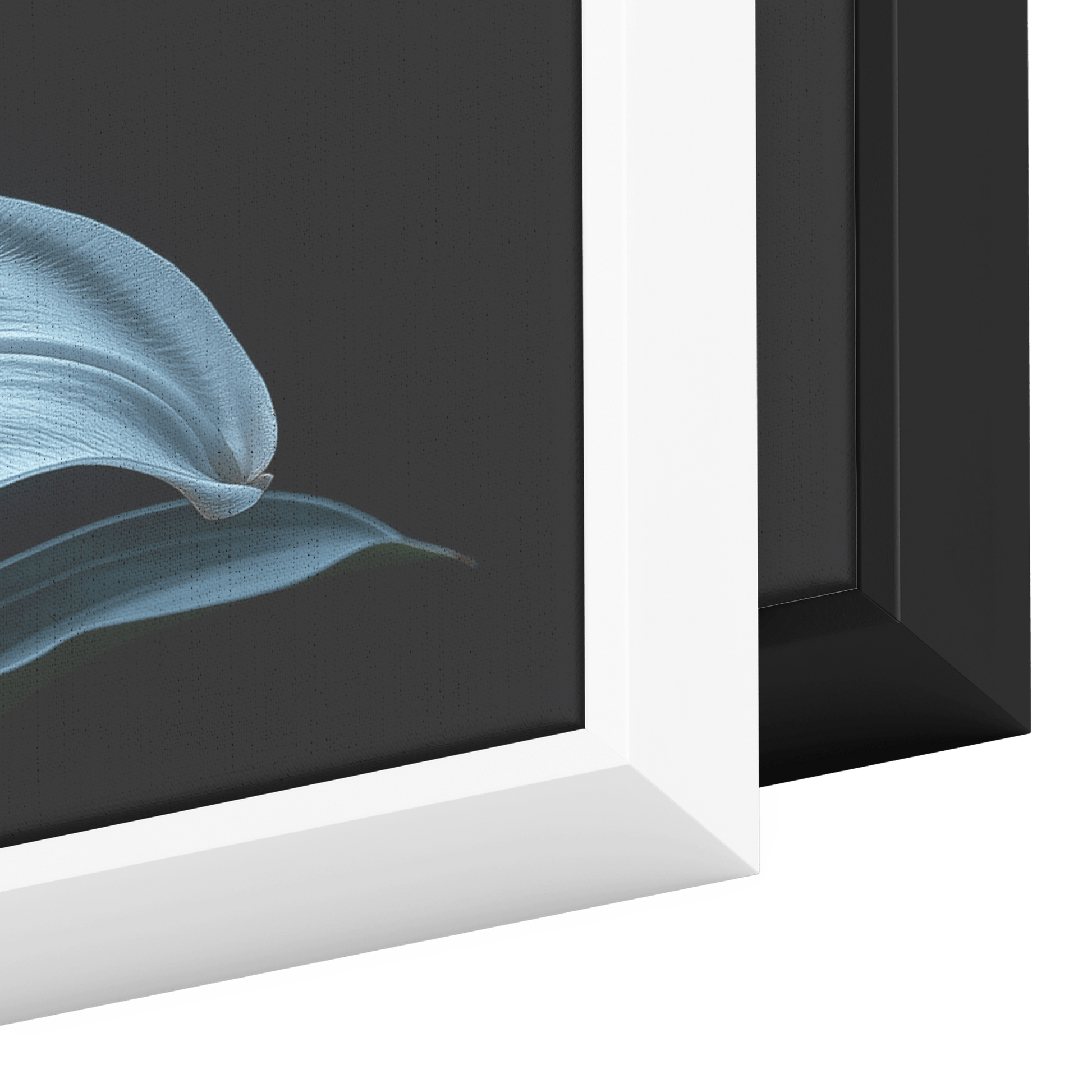 Minimalist Single Stem Floral Artwork Lily Neutral Tones Solid Black Background Clean Elegant Ultra High Definition Panoramic Framed Canvas Wall Art - Awakening Righteousness