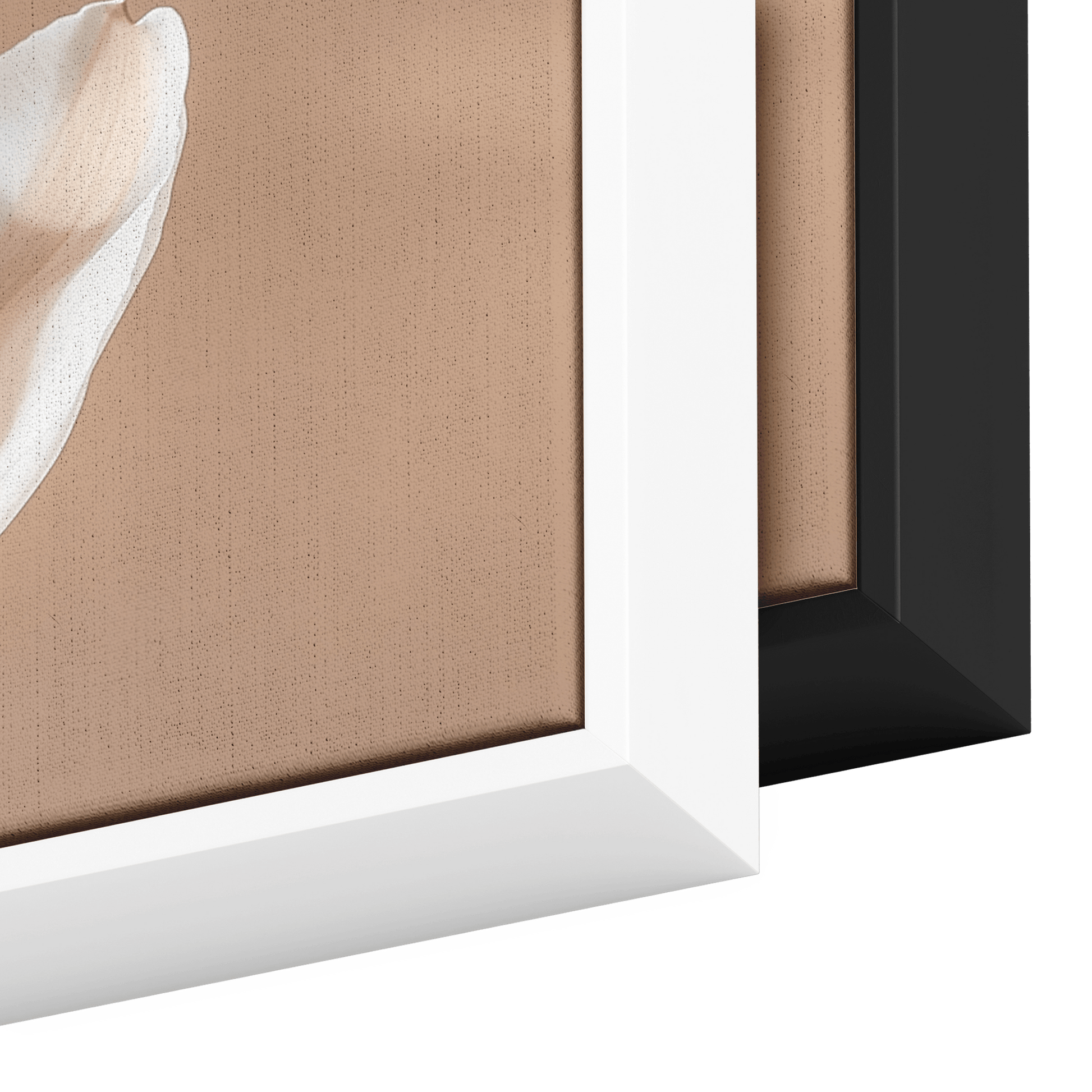 Minimalist Single Stem Floral Artwork Tulip Minimal Details Matte Beige Background Ultra High Definition Clean Modern Design Panoramic Framed Canvas Wall Art - Awakening Righteousness