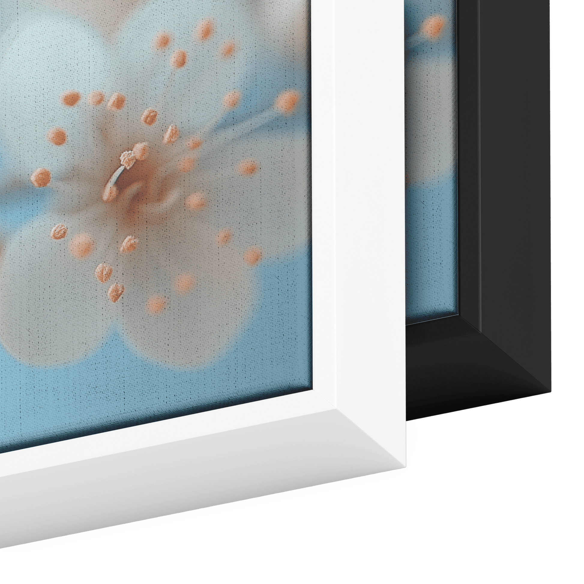 Minimalist Single Stem Floral Artwork Wildflower Soft Shading Light Blue Background Ultra High Definition Delicate Simplicity Panoramic Framed Canvas Wall Art - Awakening Righteousness