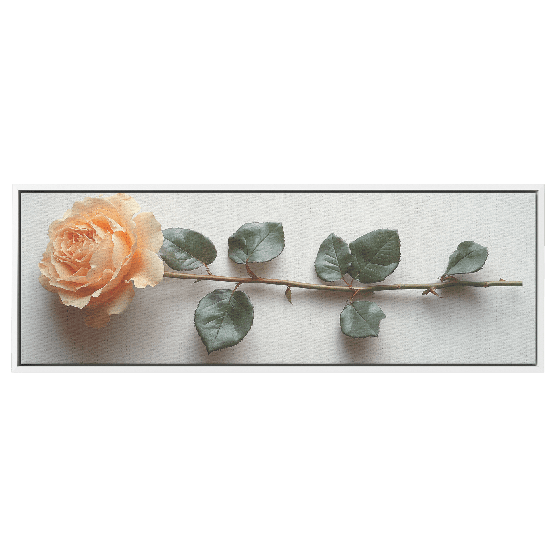 Single Stem Floral Artwork Rose Soft Line Detailing Neutral White Background Ultra High Definition Meticulously Minimal Panoramic Framed Canvas Wall Art - Awakening Righteousness