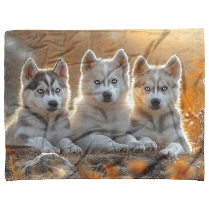 Three Adorable Husky Puppies Cozy Fleece Sherpa Blanket - Awakening Righteousness