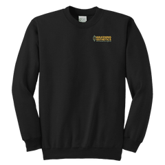 Awakening Aeshetics Youth Crewneck Sweatshirt