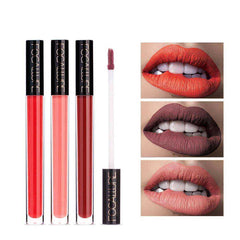 Aesthetic Long Lasting Women Matte Liquid Waterproof Lip Gloss