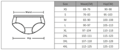 Aesthetic Print Mesh Super Breathable Seamless Women Sexy Panties