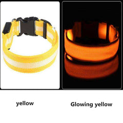 LED Dog Collar New USB Rechargeable 3 Modes