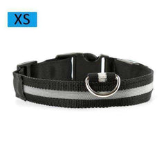 Cat & Kitten New Bright LED Collar 7 Color Glowing Cat Leash