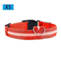 Cat & Kitten New Bright LED Collar 7 Color Glowing Cat Leash