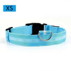 Cat & Kitten New Bright LED Collar 7 Color Glowing Cat Leash