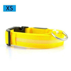 Cat & Kitten New Bright LED Collar 7 Color Glowing Cat Leash
