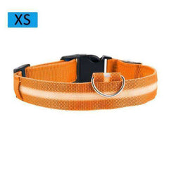 Cat & Kitten New Bright LED Collar 7 Color Glowing Cat Leash