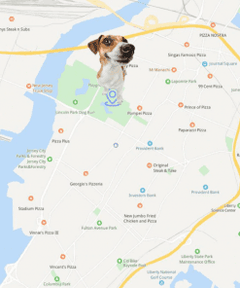 Smart GPS Tracker Cat Dog Pet Collar - Awakening Aesthetics