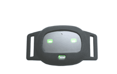 Smart GPS Tracker Cat Dog Pet Collar - Awakening Aesthetics